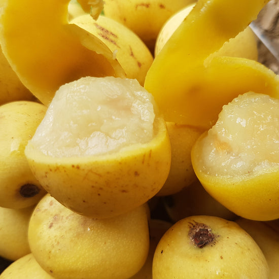 Marula Oil, The secret to healthy natural hair